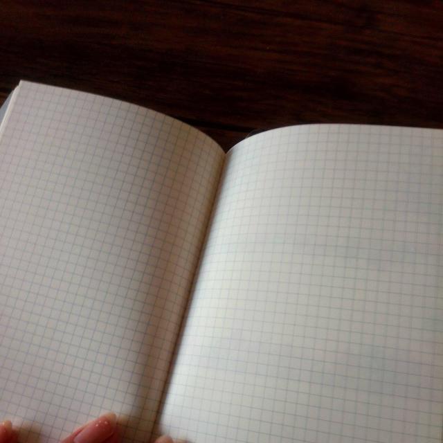 DHC ビューティー手帳 2025 新品 スケジュール手帳 < インテリア/ライフ DHC ビューティー手帳 2025 新品 スケジュール手帳 < インテリア/ライフの