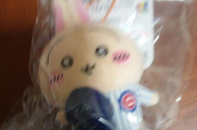 ��������  �� �A�j��/�R�~�b�N/�L�����N�^�[�� 