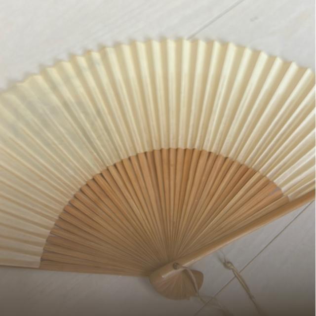送料無料 京扇子大西扇堂 美品 < 女性ファッション  送料無料 京扇子大西扇堂 美品 < 女性ファッションの