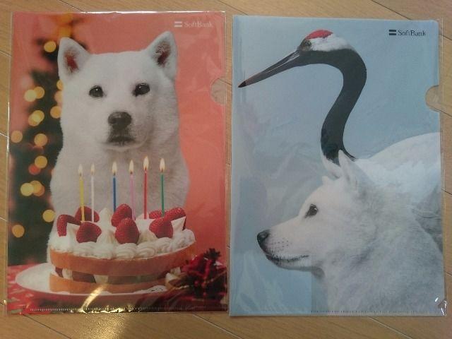 SoftBank\tgoNNAt@C2Zbg//Vigp񔄕i   CeA/Ct 