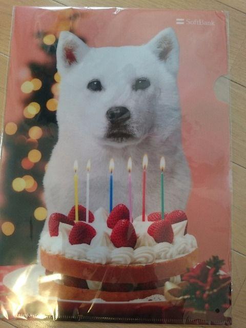 SoftBank\tgoNNAt@C2Zbg//Vigp񔄕i  CeA/Ct 