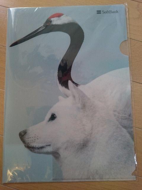 SoftBank\tgoNNAt@C2Zbg//Vigp񔄕i  CeA/Ct 