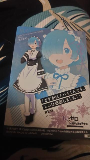 Re.ゼロから始める異世界生活*メタリックプラカードB < アニメ/コミック/キャラクター  Re.ゼロから始める異世界生活*メタリックプラカードB < アニメ/コミック/キャラクターの