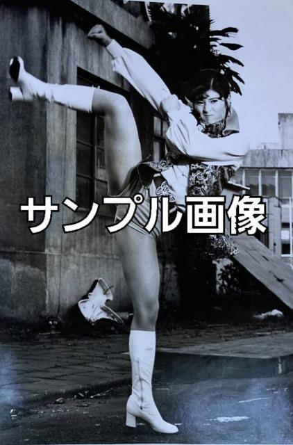 新品☆タペストリー志穂美悦子 ビジンダー&01☆ < タレントグッズ 新品☆タペストリー志穂美悦子 ビジンダー&01☆ < タレントグッズの