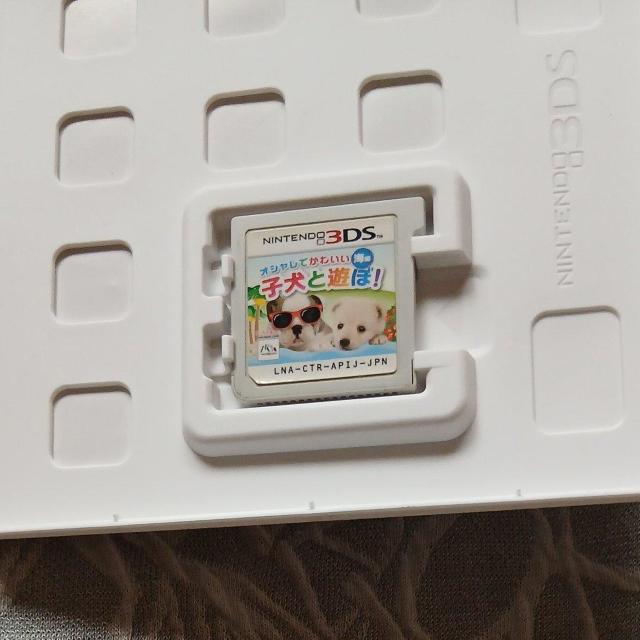 3DS専用オシャレでかわいい子犬と遊ぼ!海編 < ゲーム本体/ソフト  3DS専用オシャレでかわいい子犬と遊ぼ!海編 < ゲーム本体/ソフトの