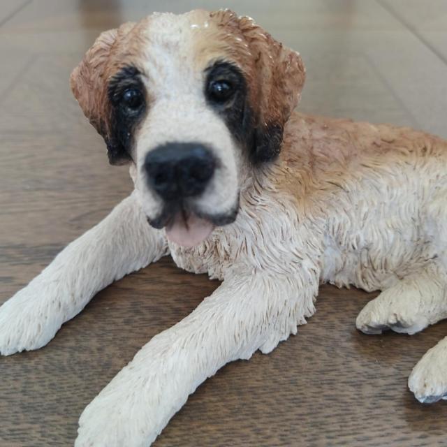 ̒u@Zgo[i[h   CeA/Ct 