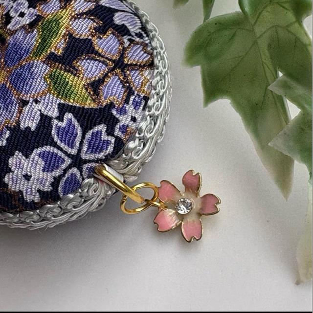 nhCh ߂FT@W[ }JW[ ٖD @G  ybg/|/| 