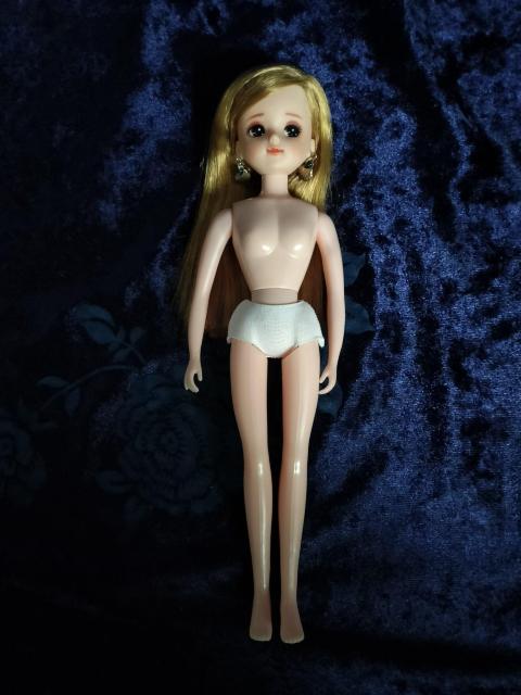 �J�X�^�����J�����f�� �� ��������� 