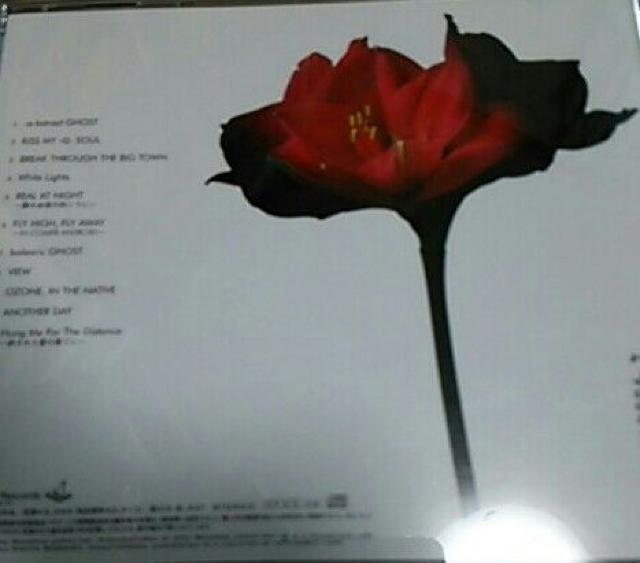 CD access Rippin'GHOST 帯あり アクセス貴水博之浅倉大介 < タレントグッズ  CD access Rippin'GHOST 帯あり アクセス貴水博之浅倉大介 < タレントグッズの