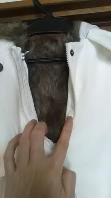 新品*Clocolor*コート < 女性ファッション  新品*Clocolor*コート < 女性ファッションの