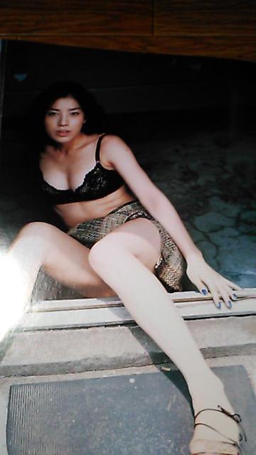 送料込〜嘉門羊子〜月刊・嘉門羊子 < タレントグッズ  送料込〜嘉門羊子〜月刊・嘉門羊子  < タレントグッズの