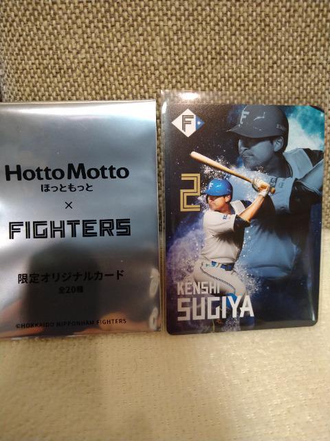 gp@kCIn~قƂƌŁIJm@m[}J[h   W[/X|[c 