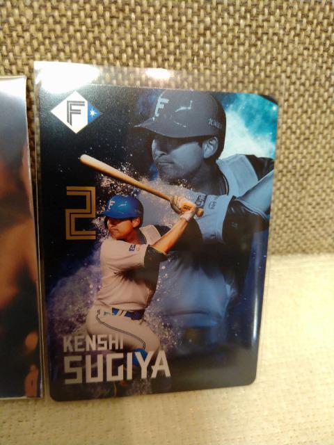 gp@kCIn~قƂƌŁIJm@m[}J[h  W[/X|[c 