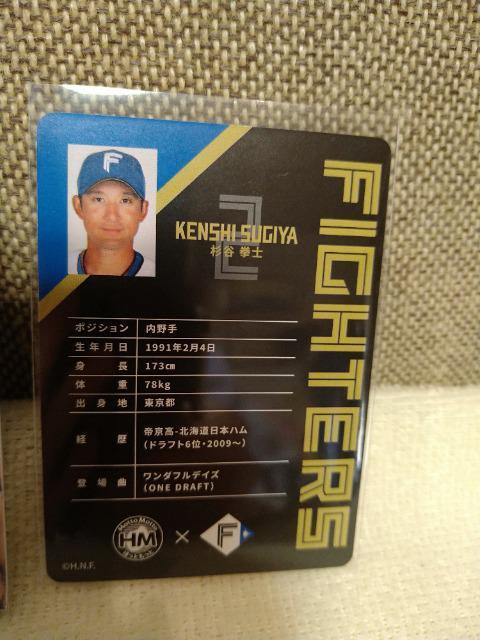 gp@kCIn~قƂƌŁIJm@m[}J[h  W[/X|[c 