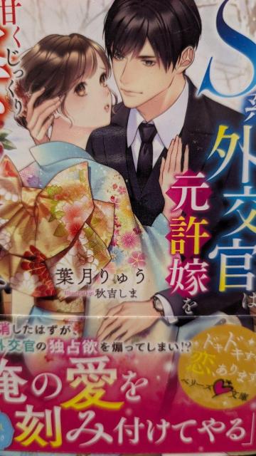 S系外交官は元許嫁を甘くじっくり娶り落とす★葉月りゅう★ベリーズ文庫 < 本/雑誌 S系外交官は元許嫁を甘くじっくり娶り落とす★葉月りゅう★ベリーズ文庫 < 本/雑誌の