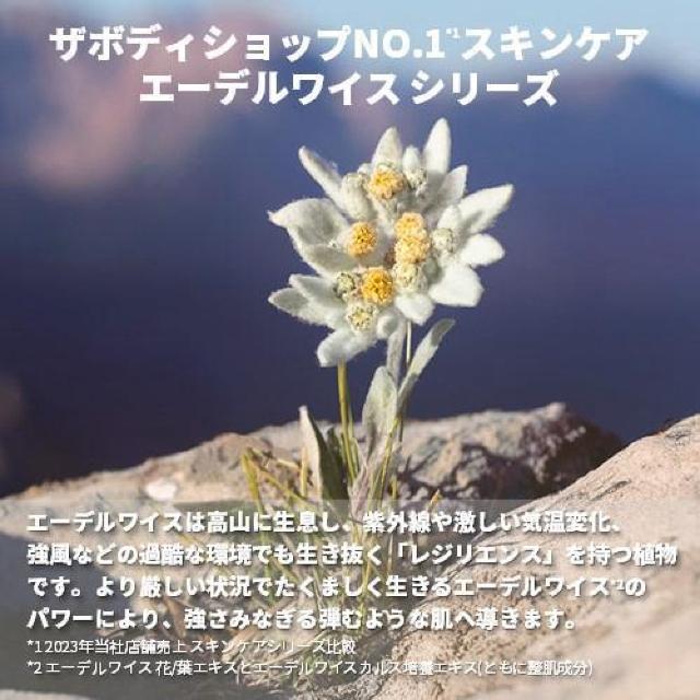 THE BODY SHOP EDWコンセントレートセラム < ブランド  THE BODY SHOP EDWコンセントレートセラム < ブランドの