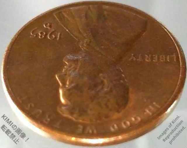 1Zgd 1985 D 2 AJO J[ 1Zgd 1yj[ ݕ Coin 1 Cent Lincoln  zr[ 