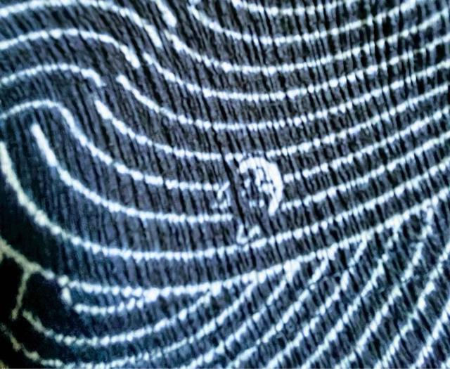 Lサイズ!高貴紳士的!商標登録!黒柴印 和んこ堂!楊柳素材ストレッチ!ネイビー系色合い!両脇&後一つポケット付き!ハーフパンツ! < 男性ファッション  Lサイズ!高貴紳士的!商標登録!黒柴印 和んこ堂!楊柳素材ストレッチ!ネイビー系色合い!両脇&後一つポケット付き!ハーフパンツ! < 男性ファッションの