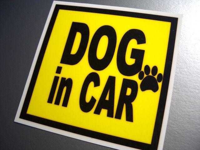 DOG in CARイエローステッカー□ 犬が乗ってます☆ペット < 自動車/バイク DOG in CARイエローステッカー□ 犬が乗ってます☆ペット < 自動車/バイク