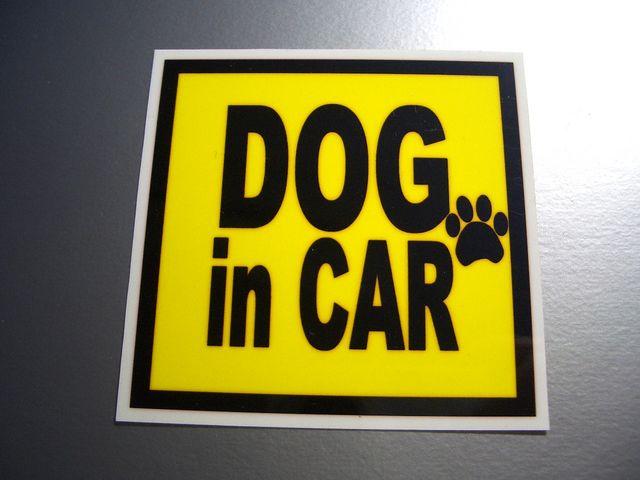 DOG in CARイエローステッカー□ 犬が乗ってます☆ペット < 自動車/バイク DOG in CARイエローステッカー□ 犬が乗ってます☆ペット < 自動車/バイク