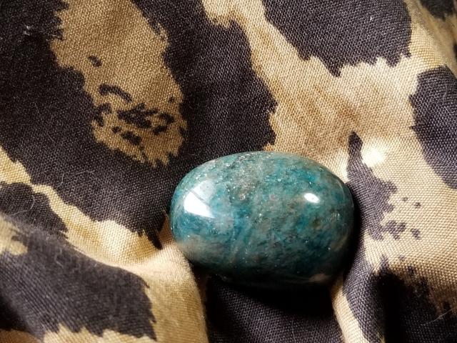 Ap^Cg23.9gB   CeA/Ct 