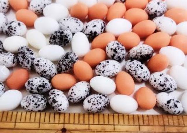 ~j`A^}SPOppbNRF~bNXh[nEXɁ   