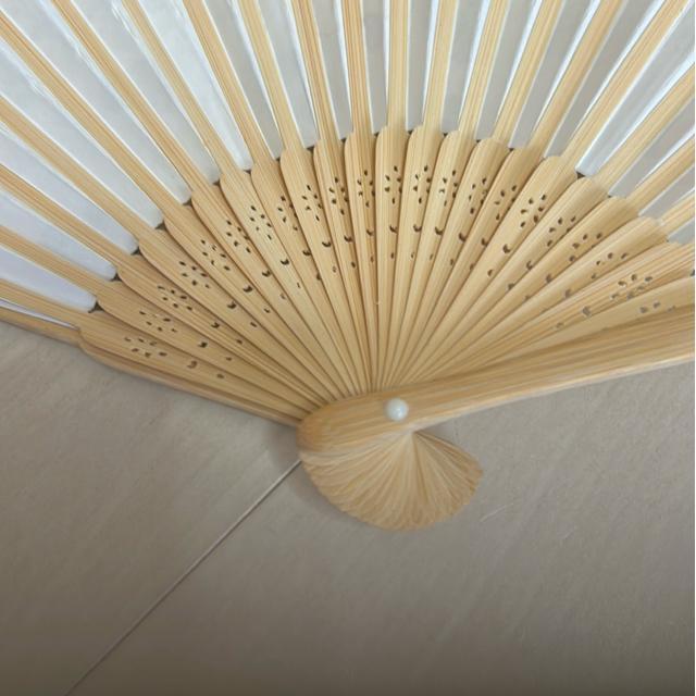 送料無料 ミニ扇子新品 < 女性ファッション  送料無料 ミニ扇子新品 < 女性ファッションの