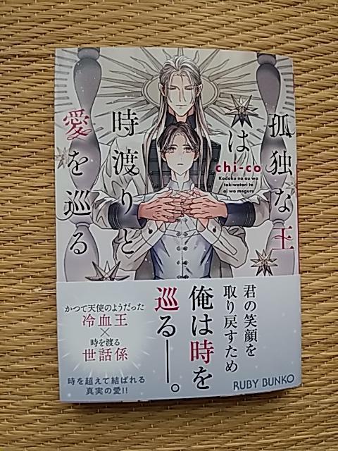 POV@@ǓƂȉ͎nƈ@@chi-co/Xq 