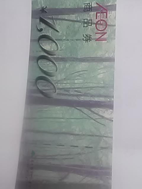 �C�I��1000�~��  �� �`�P�b�g/������ 