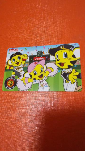 _^CK[X Vd@ MtgJ[h 2023NN331܂ŗL 