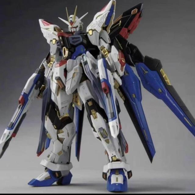 【PIANXIN/五金】1/100 MGEX ストライクフリーダム 修正版 未組立プラモデル < ホビー  【PIANXIN/五金】1/100 MGEX ストライクフリーダム 修正版 未組立プラモデル  < ホビーの
