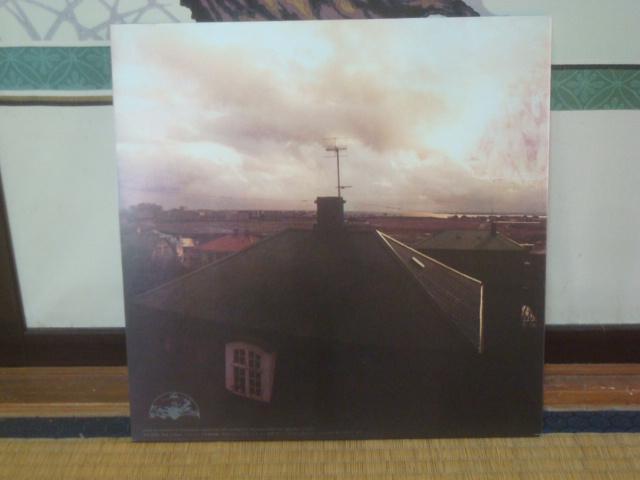 Tisamej / nbgtB[hUEm[XiHATFIELD & THE NORTHj ѕtLP  CD/DVD/rfI 