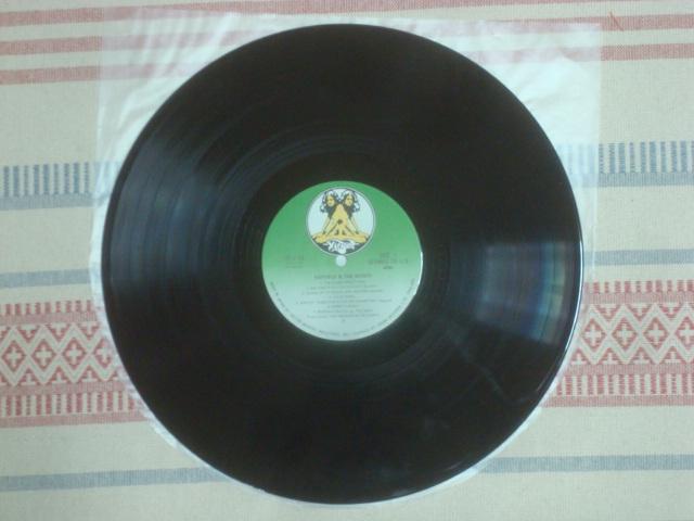 Tisamej / nbgtB[hUEm[XiHATFIELD & THE NORTHj ѕtLP  CD/DVD/rfI 