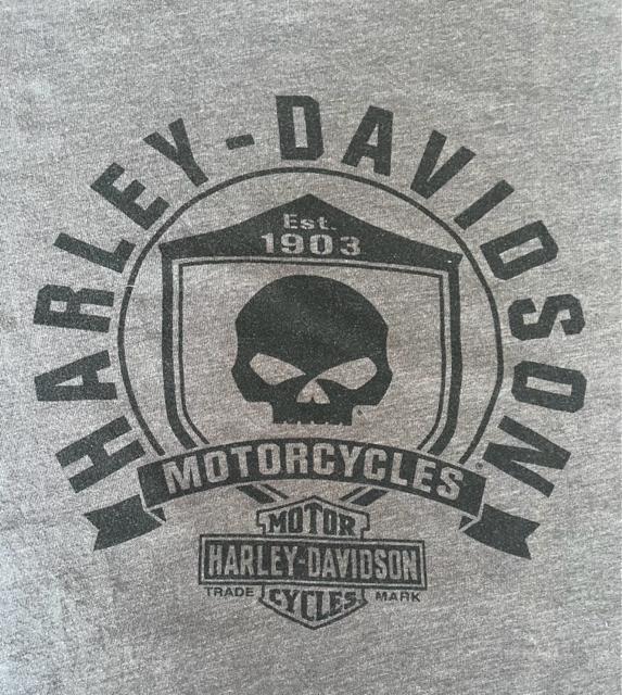 HARLEY-DAVIDSON ハーレー 半袖Tシャツ 5XL (男女兼用) ダークグレー ゆるダボ ビッグT MEXICO 製 < 男性ファッション  HARLEY-DAVIDSON ハーレー 半袖Tシャツ 5XL (男女兼用) ダークグレー ゆるダボ ビッグT MEXICO 製 < 男性ファッションの