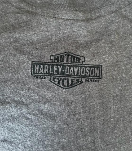 HARLEY-DAVIDSON ハーレー 半袖Tシャツ 5XL (男女兼用) ダークグレー ゆるダボ ビッグT MEXICO 製 < 男性ファッション  HARLEY-DAVIDSON ハーレー 半袖Tシャツ 5XL (男女兼用) ダークグレー ゆるダボ ビッグT MEXICO 製 < 男性ファッションの
