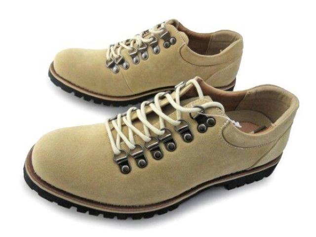 1�~~C231�V�iAAA�ҏグ�}�E���e���V���[�Y25�aBG��  �� �j���t�@�b�V������ 