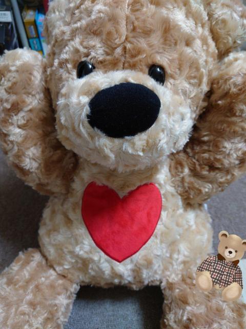 X[W[Y[񔄕iA~[YgiiTCYӂu[tIMtg②蕨ɂI    