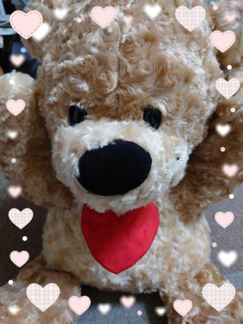 X[W[Y[񔄕iA~[YgiiTCYӂu[tIMtg②蕨ɂI   