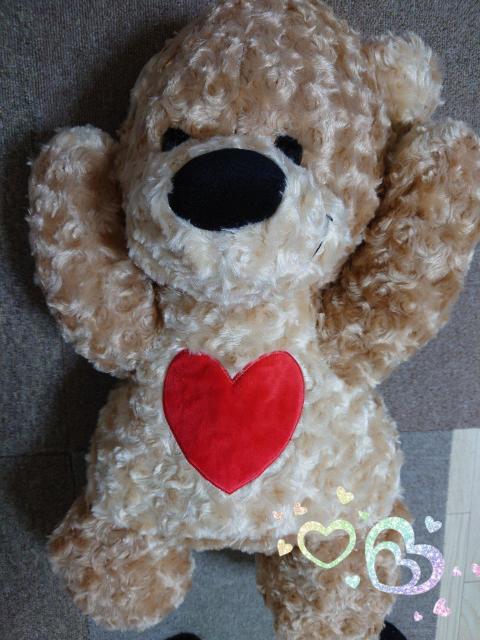 X[W[Y[񔄕iA~[YgiiTCYӂu[tIMtg②蕨ɂI   