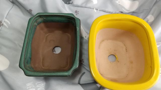 �~�j�A�ؔ�  2�� 