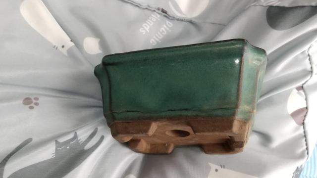 �~�j�A�ؔ�  2��