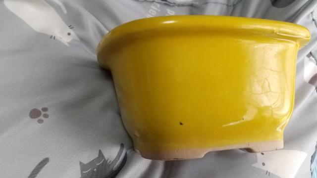 �~�j�A�ؔ�  2��