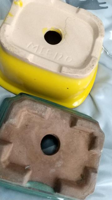 �~�j�A�ؔ�  2��