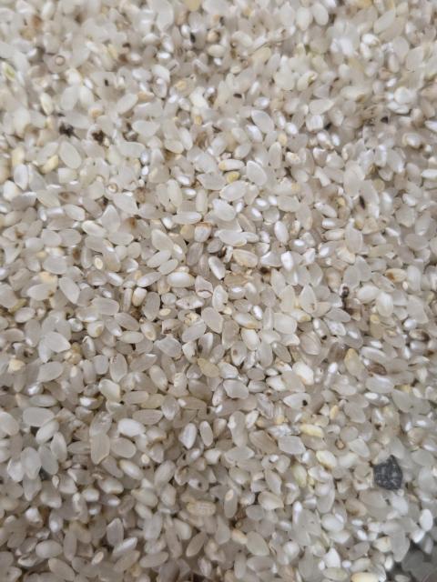 GT@p@ā@20kg@  ybg/|/| 