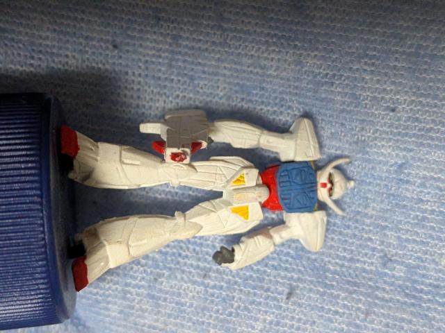 �K���_���{�g���L���b�v�t�B�M���A �� �z�r�[�� 