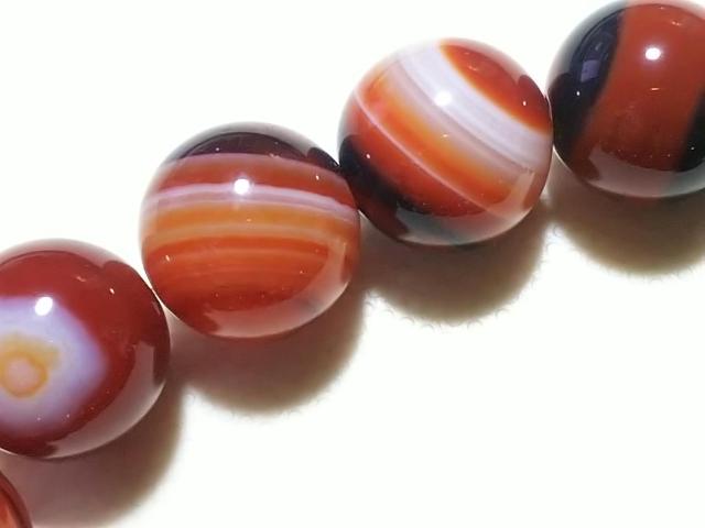 �V�R�΁��T�[�h�I�j�L�X�@���E���h�P�Q�����@���A �� �����A�N�Z�T���[/���v�� 