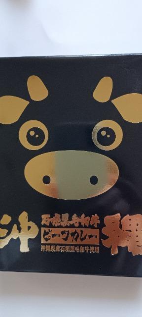 沖縄北谷自然海塩(株) 沖縄石垣黒毛和牛ビーフカレー(賞味期限:2027.4.16) < グルメ/ドリンク 沖縄北谷自然海塩(株) 沖縄石垣黒毛和牛ビーフカレー(賞味期限:2027.4.16) < グルメ/ドリンクの