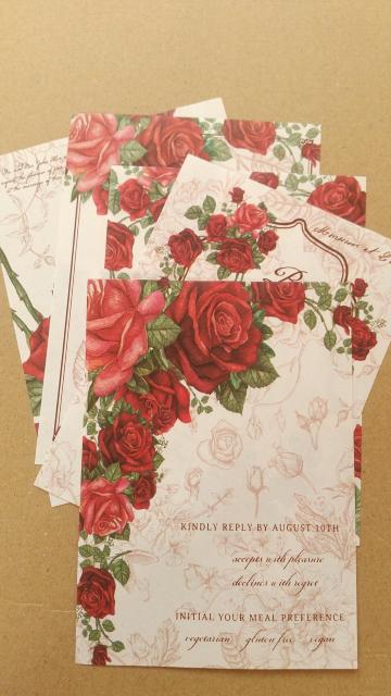 �K�N���@�f�U�C�������@�T��ނT��  �� �C���e���A/���C�t�� 