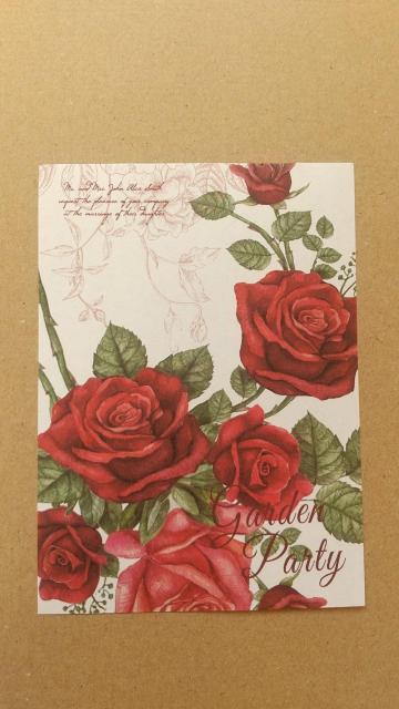 �K�N���@�f�U�C�������@�T��ނT�� �� �C���e���A/���C�t�� 