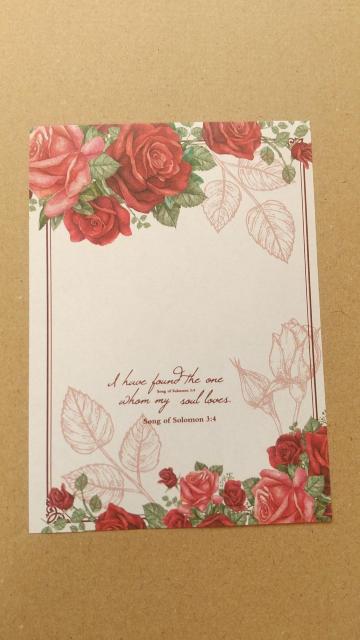 �K�N���@�f�U�C�������@�T��ނT�� �� �C���e���A/���C�t�� 